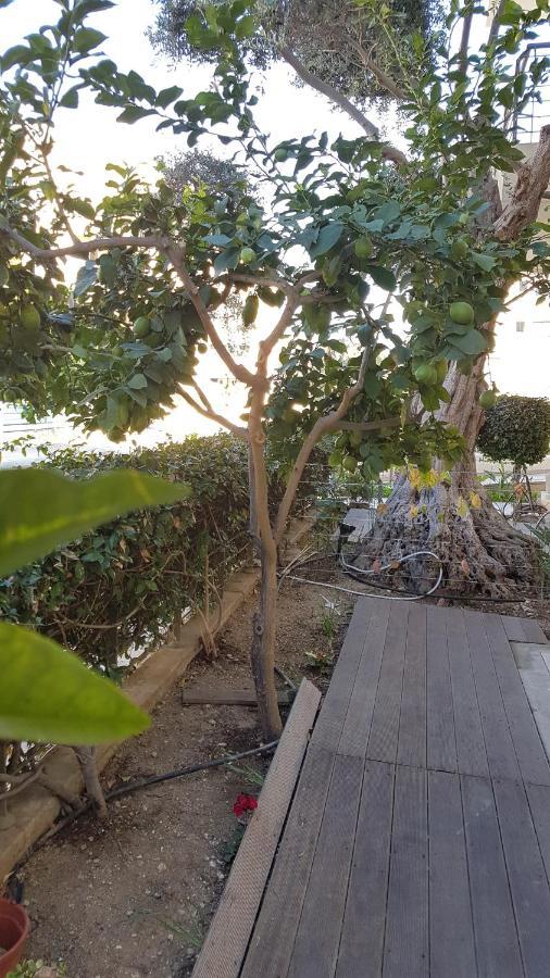 Kerynia Apartments Paphos Bagian luar foto